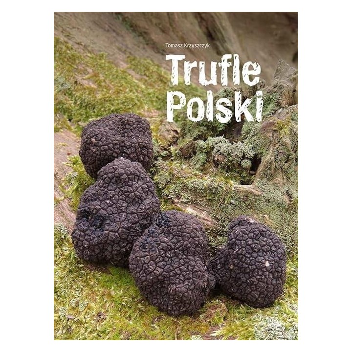 Trufle Polski