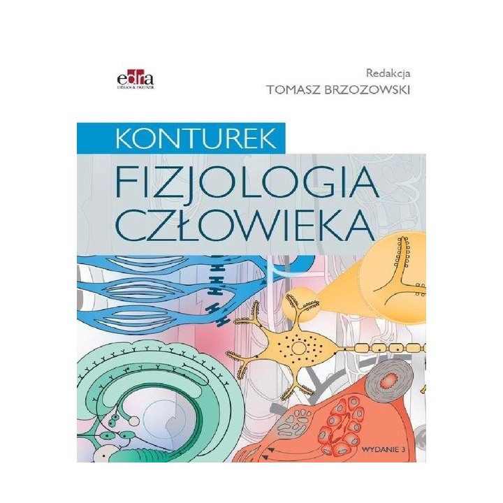 Konturek. Fizjologia człowieka