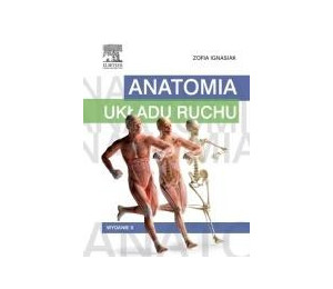 Anatomia układu ruchu