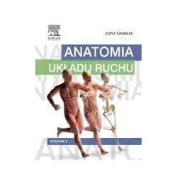 Anatomia układu ruchu
