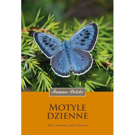 Motyle dzienne