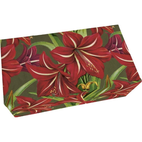 Mydło 200g zapach jabłkowy Gwiazda Betlejemska BN