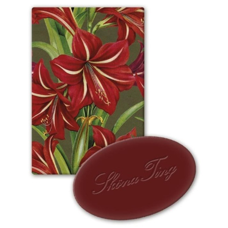 Mydełko ozdobne jabłko Gwiazda Betlejemska BN