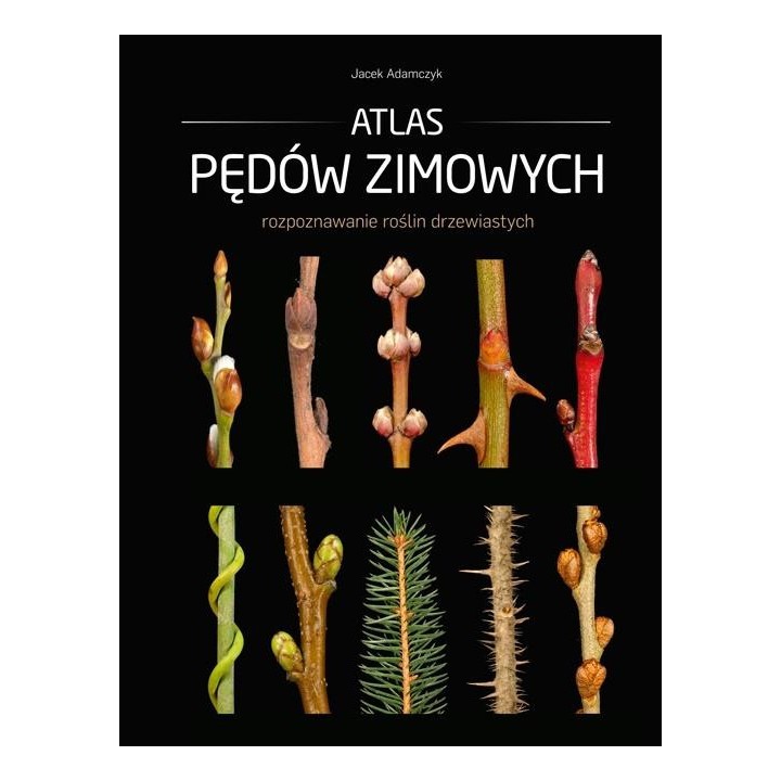 Atlas pędów zimowych