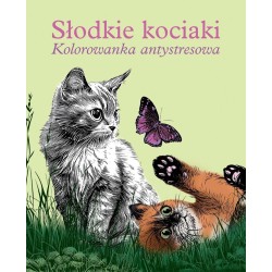 Słodkie kociaki. Kolorowanka antystresowa
