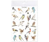 Tatuaże zmywalne Ptaki