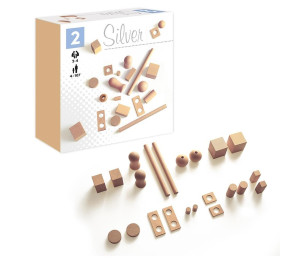 Pamięć sensoryczna Silver ALEX