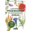 Ilustrowany przewodnik do rozpoznawania roślin