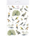 Naklejki Ptaki 2