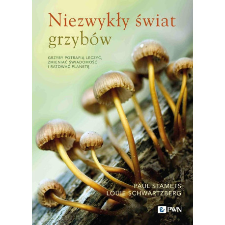 Niezwykły świat grzybów