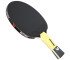 Rakietka do ping ponga Butterfly Timo Boll SG55