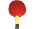 Rakietka do ping ponga Butterfly Timo Boll SG55