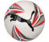 Piłka nożna Puma Cat Ball 083292 01