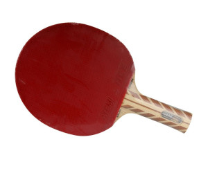 Rakietka do tenisa stołowego Atemi 500