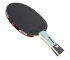 Rakietka do ping ponga Butterfly Timo Boll SG77