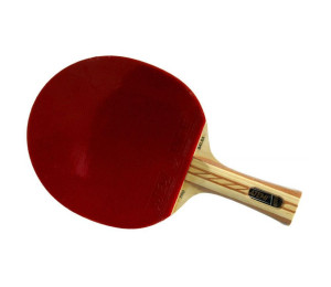 Rakietka do tenisa stołowego Atemi 4000