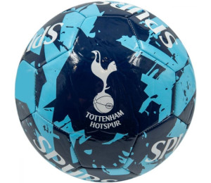 Piłka nożna Tottenham Hotspur