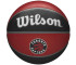 Piłka Wilson NBA Team Toronto Raptors Ball