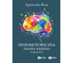 Sensomotoryczna Terapia Widzenia w praktyce