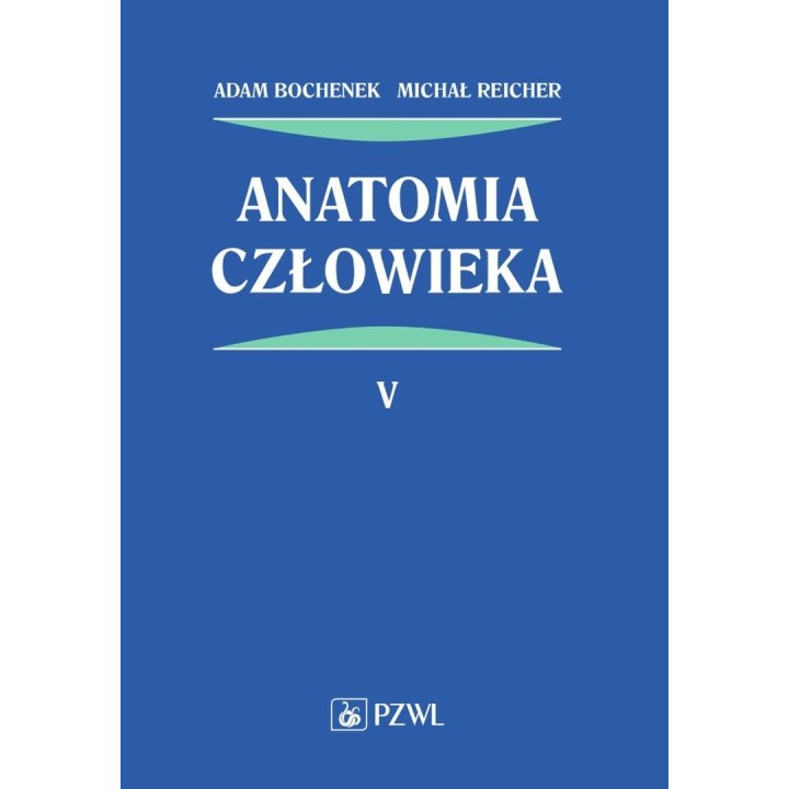 Anatomia człowieka T.5