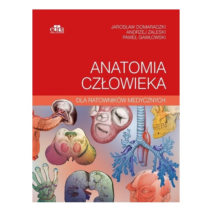 Anatomia człowieka dla ratowników medycznych