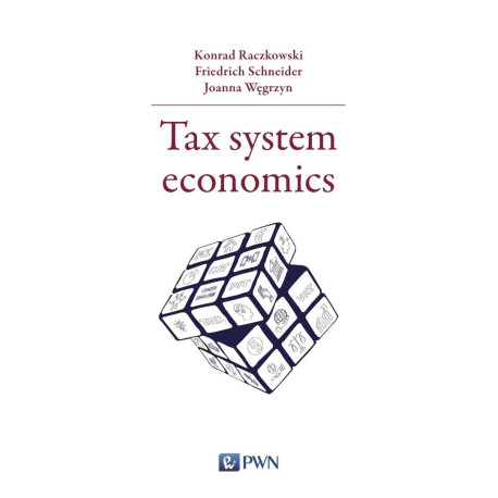 Tax system economics