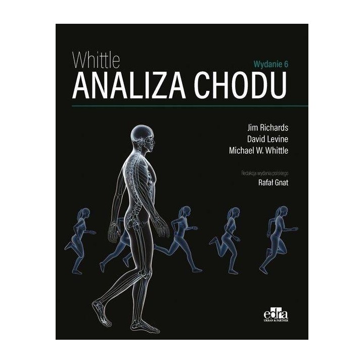 Analiza chodu