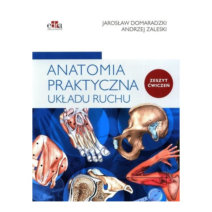 Anatomia praktyczna układu ruchu. Ćwiczenia