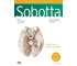 Atlas anatomii człowieka Sobotta T.3