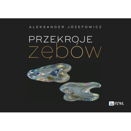 Przekroje zębów