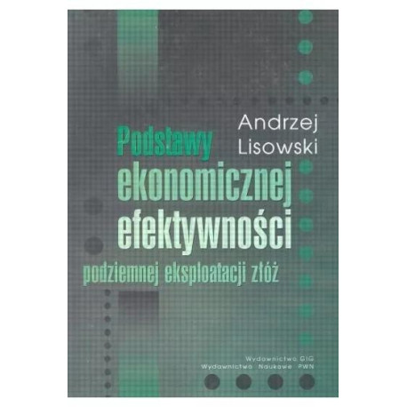 Podstawy ekonomicznej efektywności podziemnej eksp