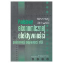 Podstawy ekonomicznej efektywności podziemnej eksp