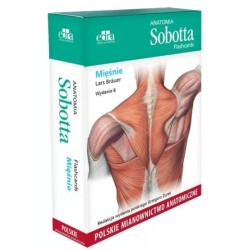 Anatomia Sobotta Flashcards. Mięśnie wyd.8
