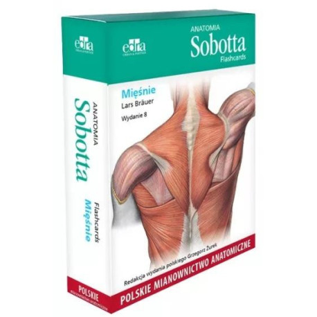Anatomia Sobotta Flashcards. Mięśnie wyd.8