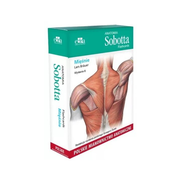 Anatomia Sobotta Flashcards. Mięśnie wyd.8