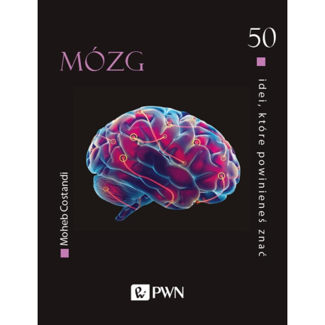 50 idei, które powinieneś znać. Mózg
