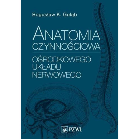 Anatomia czynnościowa ośrodkowego układu nerwowego