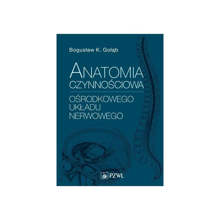 Anatomia czynnościowa ośrodkowego układu nerwowego