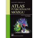 Atlas funkcjonalny mózgu