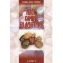 Magia kamieni szlachetnych