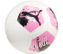 Piłka nożna Puma Big Cat 84214
