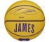 Piłka Wilson NBA Player Icon Stephen Curry Mini Ball