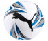 Piłka nożna Puma Cat Ball 0832920 2