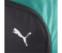 Plecak Puma Team Goal Premium 90458