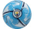 Piłka nożna Manchester City FC