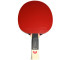 Rakietka do ping ponga Butterfly Timo Boll SG99