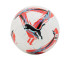 Piłka nożna Puma Orbita LaLiga 1 FIFA Quality Pro 84285