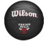 Piłka Wilson Team Tribute Golden State Warriors Mini Ball Jr