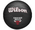 Piłka Wilson Team Tribute Golden State Warriors Mini Ball Jr