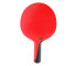 Rakietka do tenisa stołowego SOFTBAT 454707